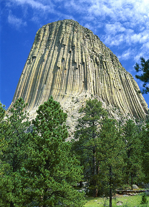 View of the massive columns of Devils Tower